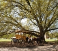 Colonial Williamsburg/Virginia