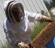 Arlo's Honey Farm/Okanagan/British Columbia